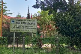 9.205 hektare sawit masyarakat Dharmasraya dalam kawasan hutan