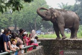 Tarif masuk Ragunan dipastikan tetap terjangkau meski ada wacana kenaikan