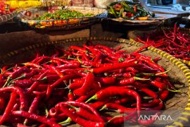 Harga cabai rawit Rp47.261/kg, bawang merah Rp48.184/kg