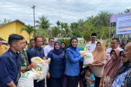 Legislator Cindy Monica salurkan 530 ton beras kepada 26.540 keluarga di Pasaman untuk ketahanan pangan