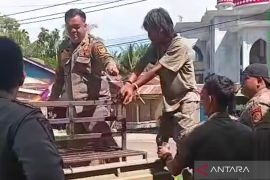 Satpol Mukomuko tangkap ODGJ asal Sumbar yang meresahkan warga