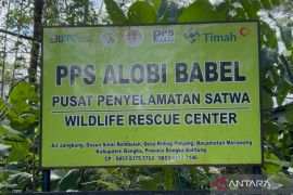 PPS Alobi, wujud tanggung jawab lingkungan PT Timah di Bangka