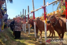 Pamekasan kembangkan ekonomi peternakan dengan pendekatan seni budaya