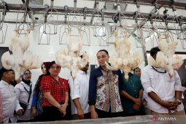 Pemkot Surabaya miliki RPH unggas berkapasitas lima ribu ekor per hari