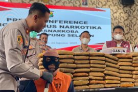 Polisi ungkap kasus penyelundupan 90 kg ganja di Pelabuhan Bakauheni
