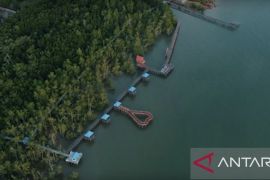 Ketika Setabu melindungi mangrove dengan ponsel dan sinyal seluler