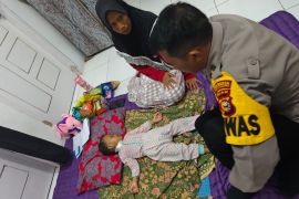 9 warga di Pekanbaru digigit anjing liar, salah satunya balita