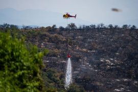 Pakar: Kebakaran hutan di Spanyol tunjukkan peningkatan risiko iklim