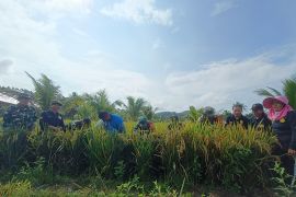 Kodim Talaud dukung ketahanan pangan wilayah kepulauan