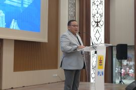 PLN bersinergi dukung pembangunan berkelanjutan di Kalselteng