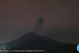 Gunung Lewotobi Laki-laki 3 kali erupsi pada Jumat malam