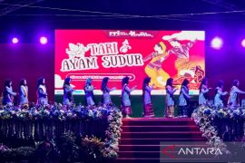 Pemkab Natuna tekankan kolaborasi dalam melestarikan budaya