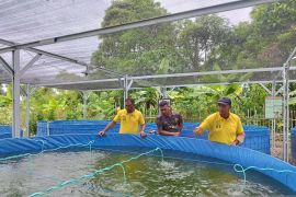Lapas Namlea budi daya ikan air tawar untuk kemandirian warga binaan