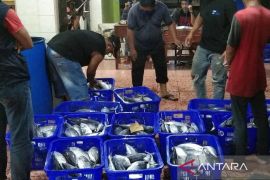 Bontang kembangkan pengalengan ikan guna pacu investasi