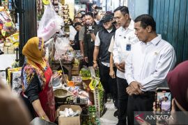 Mentan pastikan harga beras turun tak pengaruhi kesejahteraan petani