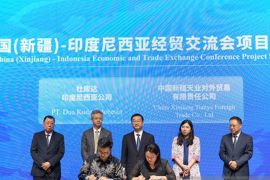 Indonesia eyes economic partnership potentials with China's Xinjiang