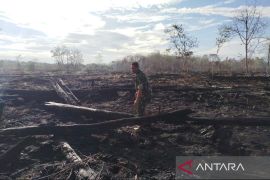 BPBD: Kebakaran seluas 6,5 Ha di Aceh Barat sudah padam