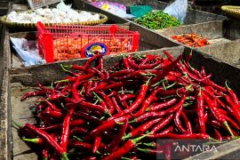 Bapanas:  cabai rawit Rp42.548/kg, bawang merah Rp43.973/kg pada Ahad