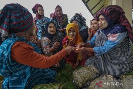 Festival Wowine Wakatobi Page 3 Small