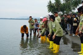 Pemkab Donggala-Kejati Sulteng tanam mangrove di pesisir pantai
