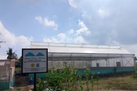 Belasan Koperasi Merah Putih di Dompu mulai buka usaha