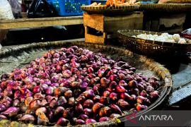 Harga cabai rawit turun jadi Rp41.030/kg, bawang merah Rp43.490/kg