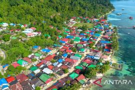 Avian  percantik Desa Saleman Maluku Tengah