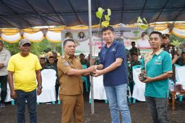 HKTI Halut bersama kelompok petani canangkan penanaman pohon balsa