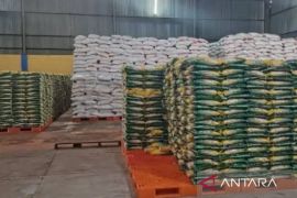 Bulog Samarinda cadangkan 8.900 ton beras  pastikan pasokan aman