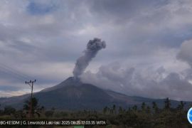 Gunung Lewotobi Laki-laki erupsi empat kali dalam enam jam