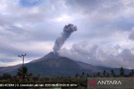 Enam penerbangan dibatalkan dampak erupsi Gunung Lewotobi