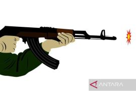 Seorang WNI tertembak di perbatasan RI dan Timor Leste