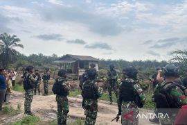 Mencari titik temu ruang hidup di Taman Nasional Tesso Nilo