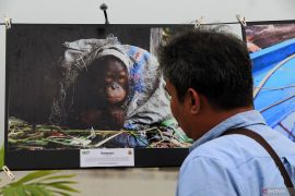 Pameran foto ragam hayati Kalbar