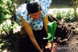 Cacingan juga perlu diwaspadai pada usia dewasa