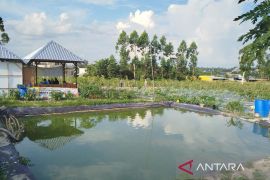 Pemkab kobar dukung keberlanjutan lahan demplot di area sport center