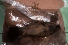 Penyelam sungai temukan mortir peninggalan perang dunia di Banjarmasin