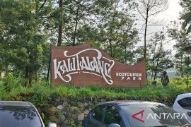 Ekowisata Kalitalang tawarkan view langsung Gunung Merapi
