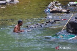 Emas Antam hari ini melonjak Rp20.000/gram