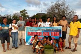 Pokmaswas NTT melepasliarkan 258 tukik untuk pelestarian biota laut