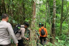 Tim SAR gabungan cari orang hilang di hutan Bartim