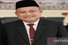 Hendra Rosa apresiasi pesta rakyat 2025 berjalan lancar