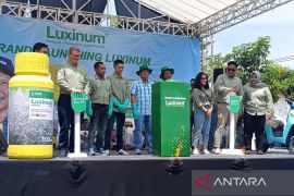 BASF Indonesia luncurkan herbisida pratumbuh Luxinum di Kabupaten Madiun