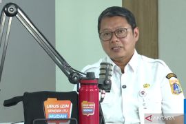 Data potensi kelurahan disajikan dalam "Portal Satu Data Jakarta"