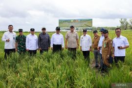 Kemenhan berperan dalam pembangunan PSN lumbung pangan di Wanam