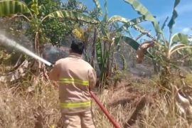 BPBD imbau masyarakat Aceh Besar waspada kebakaran