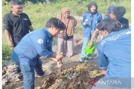 ULM hadirkan praktik pembuatan pupuk organik di Desa Karang Intan