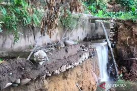 Mukomuko tangani darurat saluran irigasi jebol