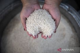 Harga beras premium jadi Rp16.088/kg, medium Rp13.741/kg