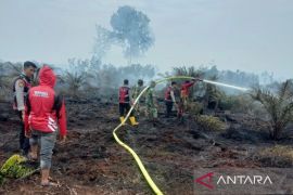 BPBD: Karhutla seluas lima hektare di Nagan Raya sudah padam